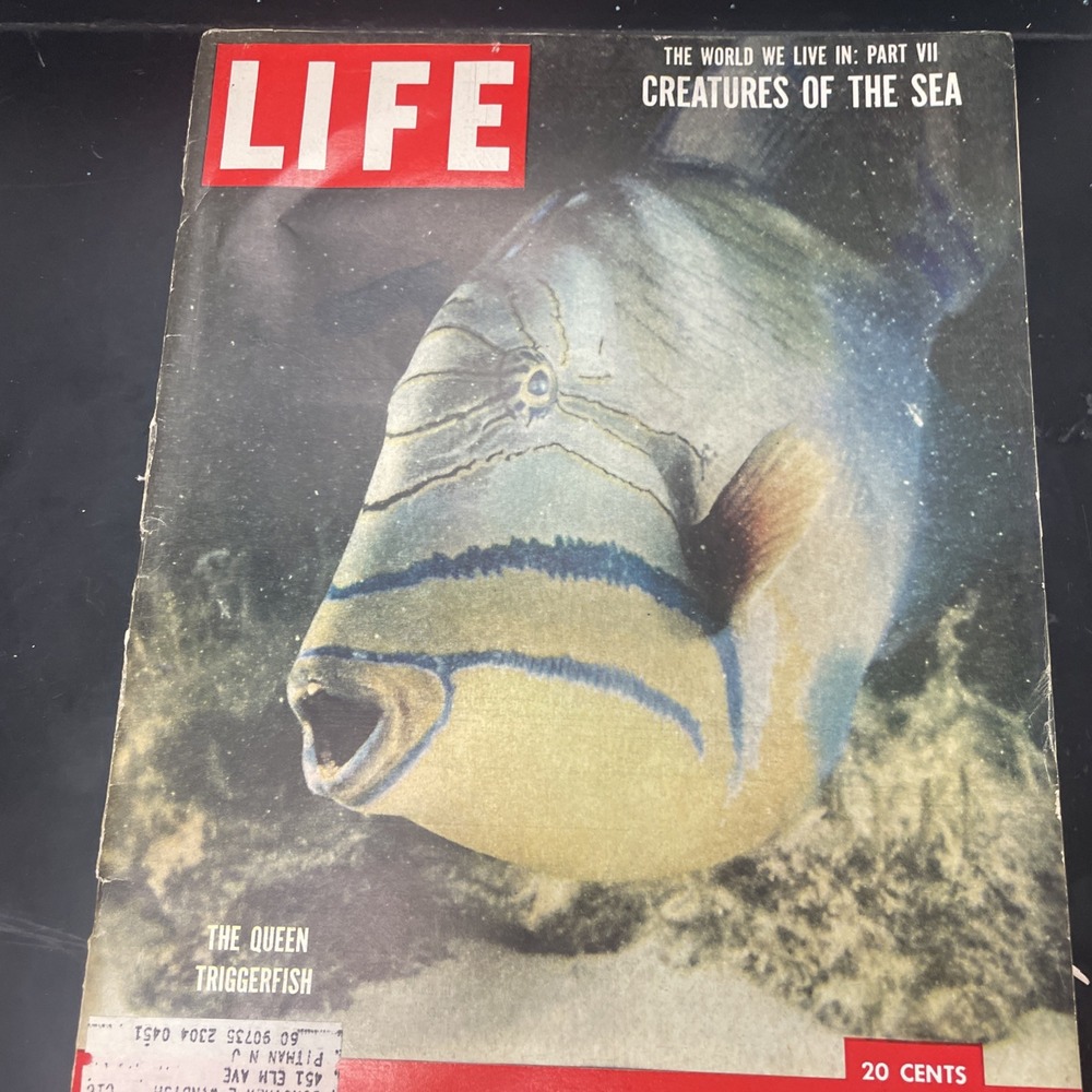 LIFE Magazine, NOVEMBER 30, 1953, THE WORLD WE LIVE IN PART: PART VII, SEA!